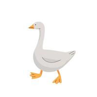 Cute gray goose, character on white background vector