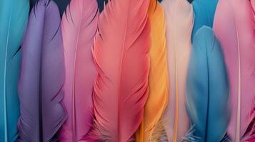 Colorful Feathers Displayed Close Up in Various Hues photo