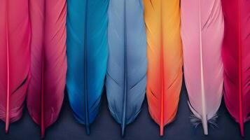Colorful Feathers Displayed Close Up in Various Hues photo