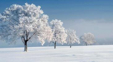 Winter Landscape With Snow-Covered Trees and Birds in a Frosty Field photo