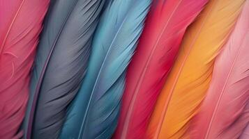 Colorful Feathers Displayed Close Up in Various Hues photo