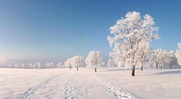 Snow-Covered Landscape With Frosty Trees and Footprints During Winter Morning photo