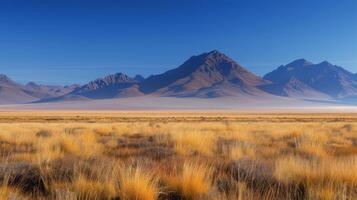 Golden Grasslands Under Clear Blue Sky With Majestic Mountains in the Distance photo