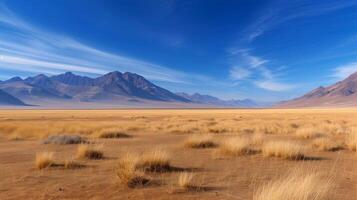 Golden Grasslands Under Clear Blue Sky With Majestic Mountains in the Distance photo