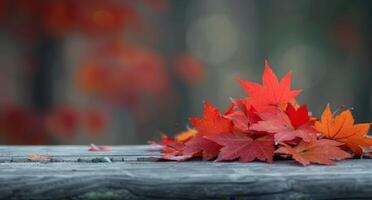 Autumn Leaves in Vibrant Colors on a Weathered Wooden Surface photo