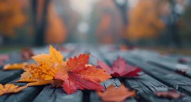 Autumn Leaves in Vibrant Colors on a Weathered Wooden Surface photo