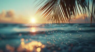 Sunset Over Ocean With Palm Trees in Tropical Paradise photo