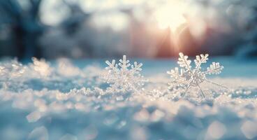 Delicate Snowflakes Sparkle in Soft Winter Light at Sunrise photo