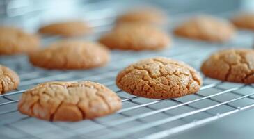 Freshly Baked Cookies Cooling On A Wire Rack In A Bright Kitchen photo