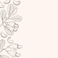 Hand drawn background card with Cashew nuts. Engraved illustration sketch with nutty plant branches. The images are created without the use of any artificial intelligence software at any stage vector
