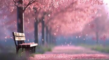 Cherry Blossom Pathway in Springtime With Petals Falling in the Breeze photo