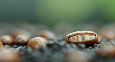Close-Up View of Coffee Beans on a Surface With Natural Light photo