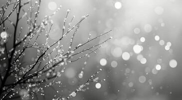 Abstract Black and White Particles Floating in a Glowing Stream of Light at Night photo