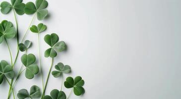 Arrangement of Green Clover Leaves on a Light Background photo
