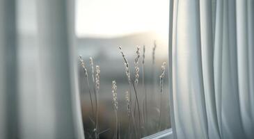 Soft Curtain Draped by Sunlit Meadow at Dawn photo