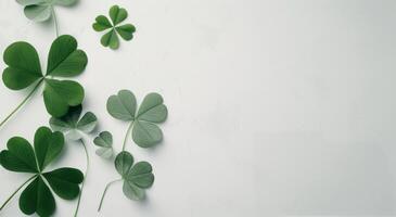 Arrangement of Green Clover Leaves on a Light Background photo