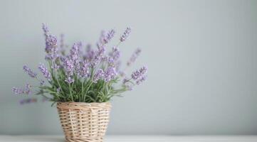 Lavender Flowers in Woven Basket With Soft Background Lights photo