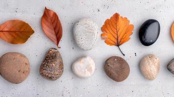 Colorful Variety of Rocks and Autumn Leaves Arranged on White Surface photo