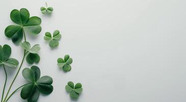 Close-Up of Shamrock Leaves on a Soft Surface photo