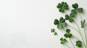 Arrangement of Green Clover Leaves on a Light Background photo