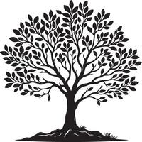 a tree with roots and leaves vector