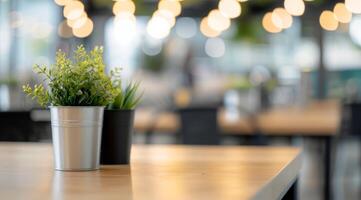 Indoor Plants in Silver and Black Pots on a Wooden Table With Decorative Lights photo