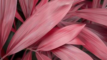 Close-Up of Vibrant Pink Leaves in a Lush Garden Setting photo