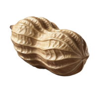 A nut is shown in a close up png