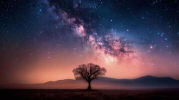Tranquil Sunset Over a Solitary Tree in a Misty Landscape photo