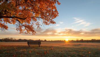 Autumn Sunset Over Park Bench in Open Field photo
