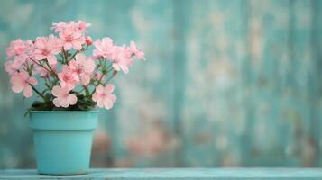 Pink Flower in Light Blue Pot Against Soft Focus Background photo