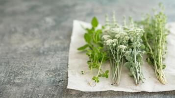 Hands Holding Seedlings on a Tray in Indoor Garden photo
