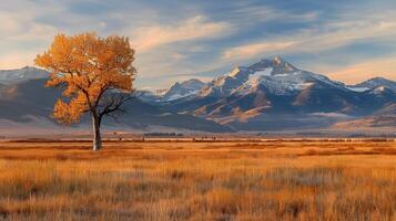 Autumn Tree Under Snow-Capped Mountains at Sunrise in a Golden Meadow photo