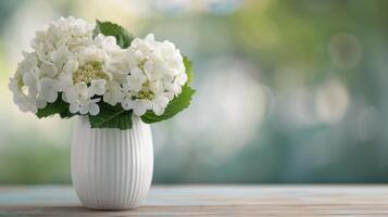 White Hydrangea Bouquet in Simple Vase on Wooden Table Background photo