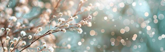 Snow-Covered Pine Branch Shining in Soft Winter Light at Twilight photo