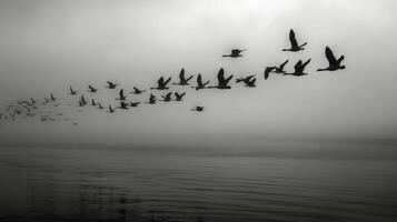 Birds Flying Over Calm Water at Dusk Near Rocky Outcrop photo