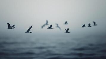 Birds Flying Over Calm Water at Dusk Near Rocky Outcrop photo