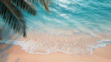 Calm Waves Lapping at Sandy Shore With Palm Fronds in Tropical Paradise photo