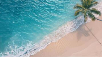 Calm Waves Lapping at Sandy Shore With Palm Fronds in Tropical Paradise photo