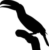 Toucan bird silhouette standing at tree vector