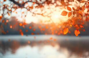 Autumn Leaves Reflecting Soft Sunset Glow Over Calm Lake photo