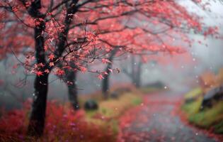 Autumn Pathway Through Misty Forest With Vibrant Red Maple Trees photo
