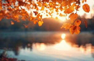 Autumn Leaves Reflecting Soft Sunset Glow Over Calm Lake photo
