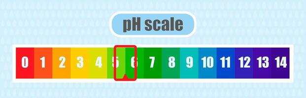 pH value scale chart for acid and alkaline solutions, acid-base balance infographic vector
