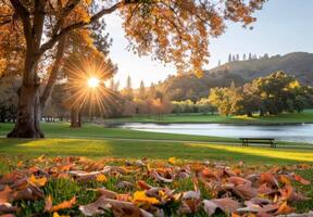 otoño parque paisaje con mesas debajo dorado hojas en Mañana ligero foto