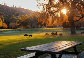 Autumn Park Landscape With Tables Under Golden Leaves in Morning Light photo