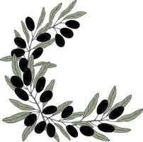 Graphics botanical black and green frame with olive branches vector