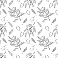 Seamless pattern with botanical olive branch with olives and leaves on a white background. Black line illustration for decoration and design fabrics, textiles, souvenirs vector