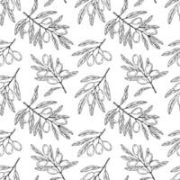 Seamless pattern with botanical olive branch with olives and leaves on a white background. Black line illustration for decoration and design fabrics, textiles, souvenirs vector
