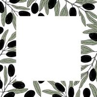 Graphics botanical black and green frame with olives and leaves. Olive branch with olives and leaves vector